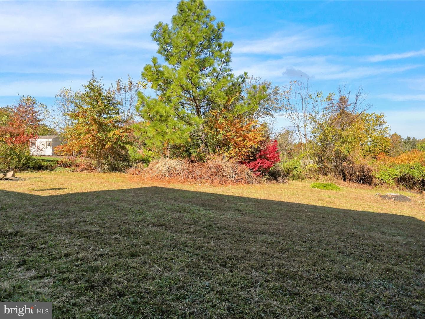 164 Birdsong Way photo 38