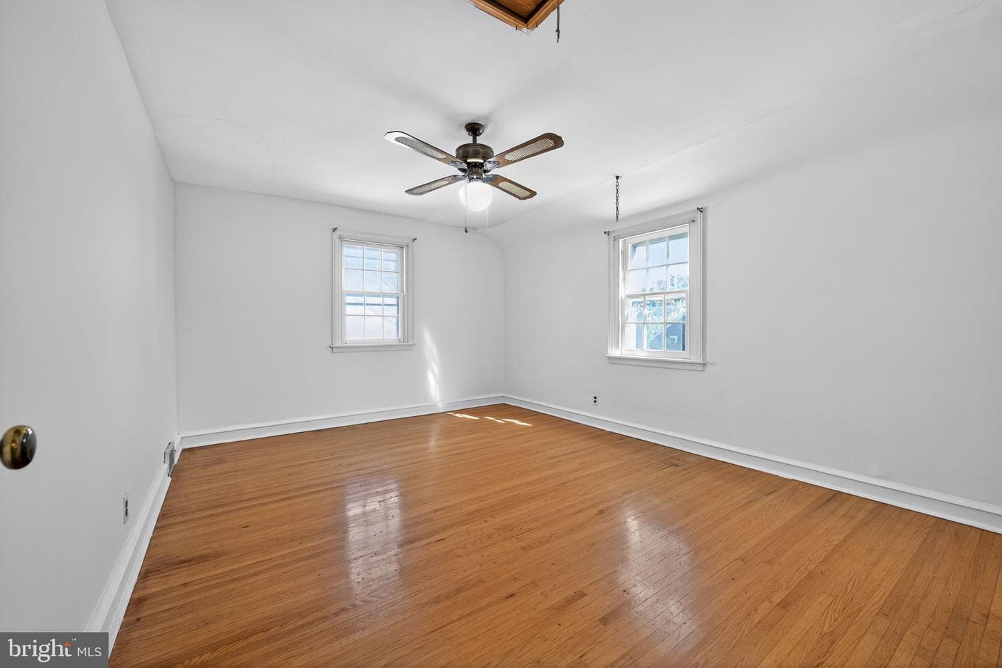 249 Forrest Avenue photo 15