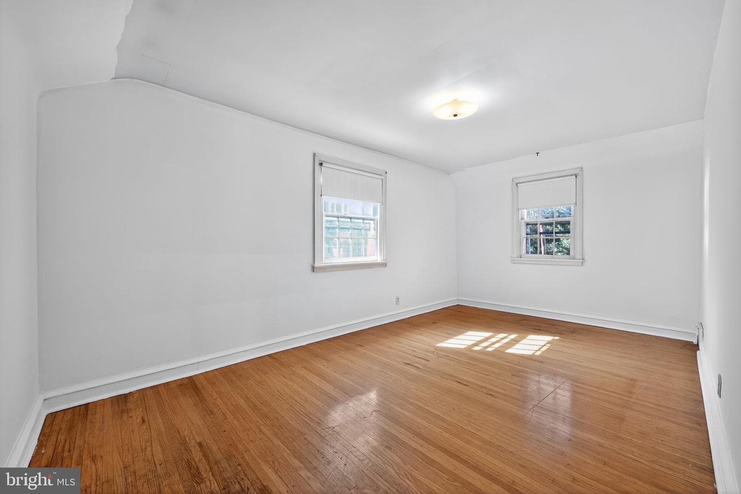 249 Forrest Avenue photo 17
