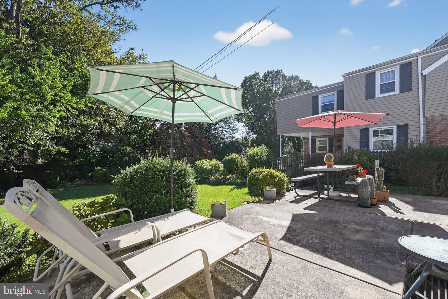 249 Forrest Avenue photo 23