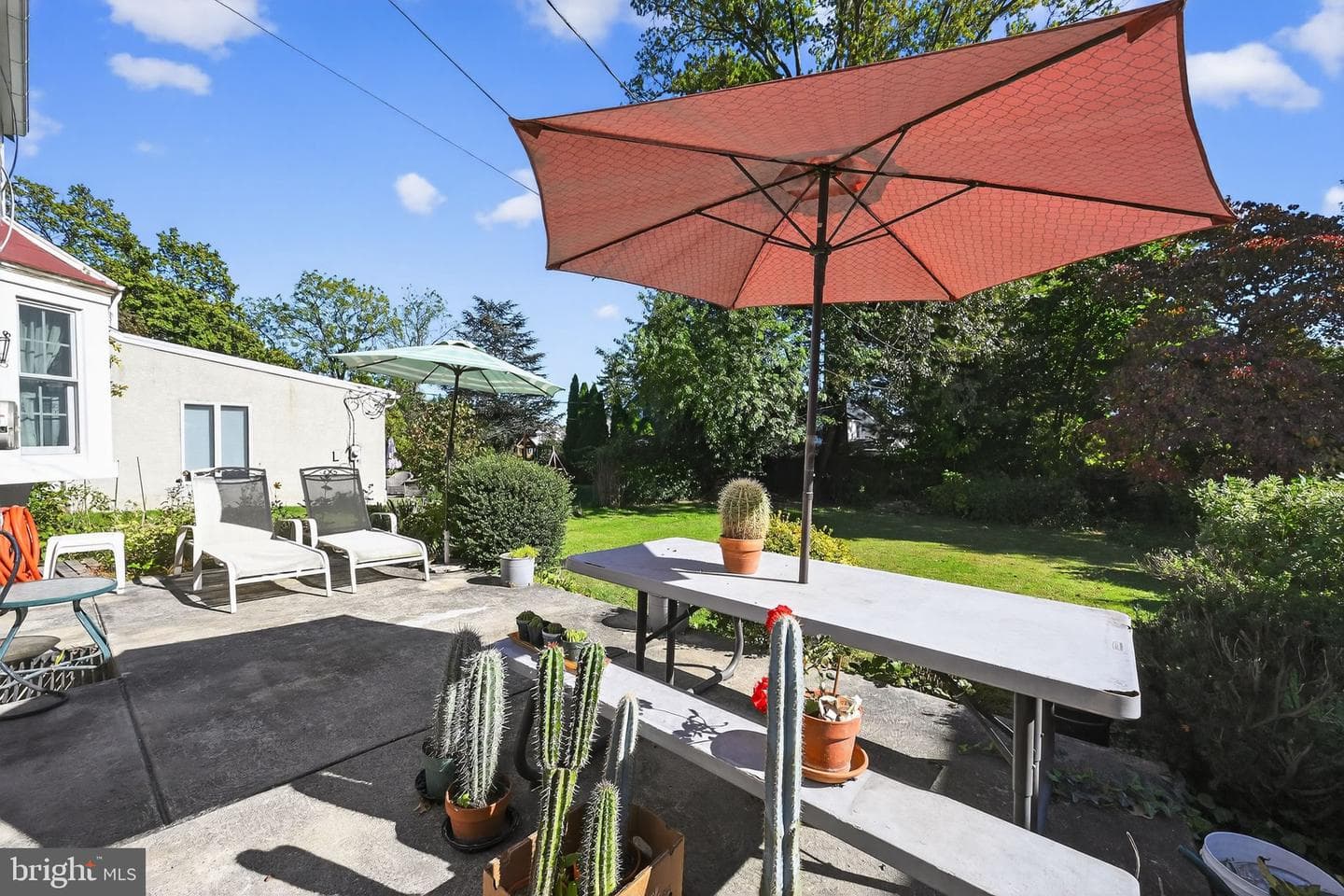 249 Forrest Avenue photo 24