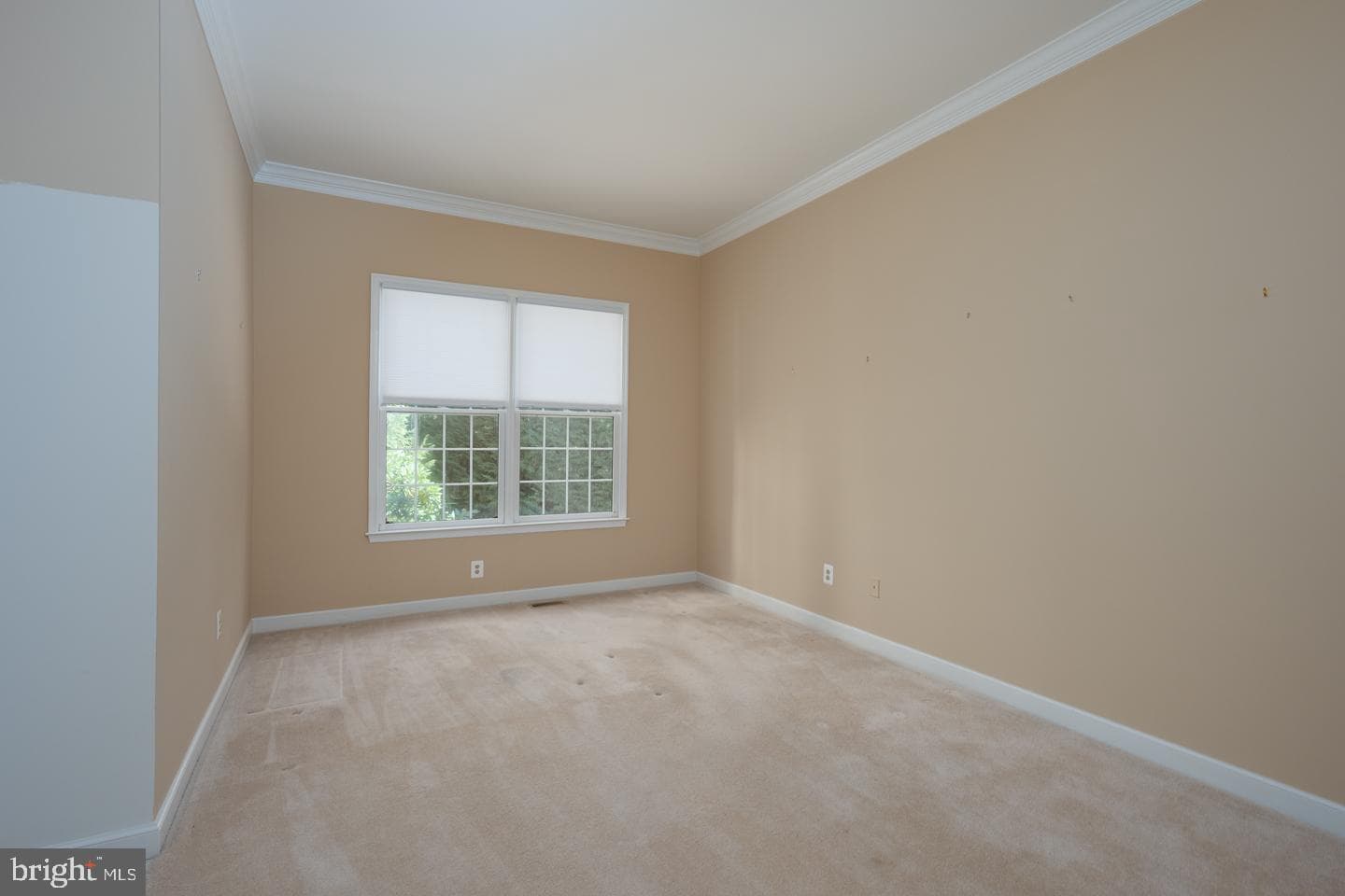 553 Exeter Court photo 29