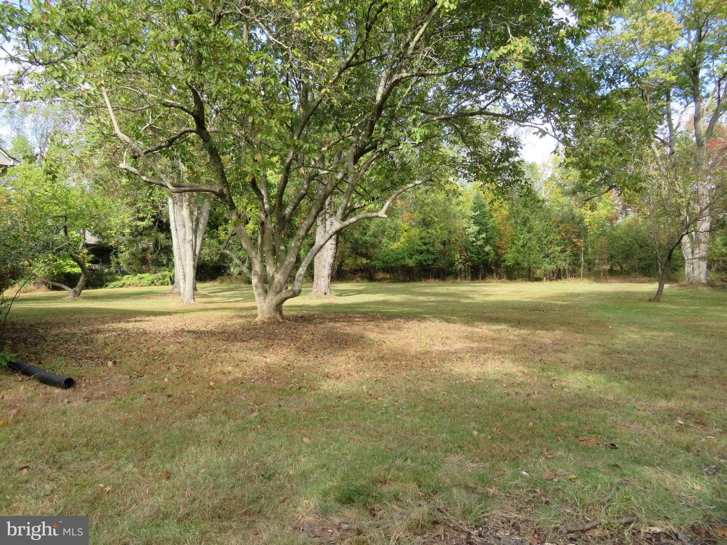 506 Kane Drive photo 14
