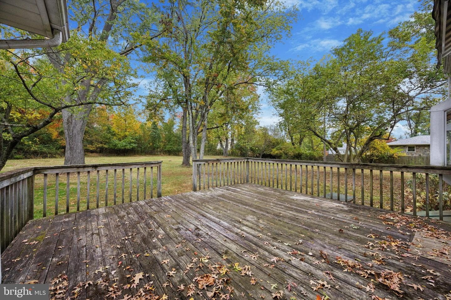 506 Kane Drive photo 23