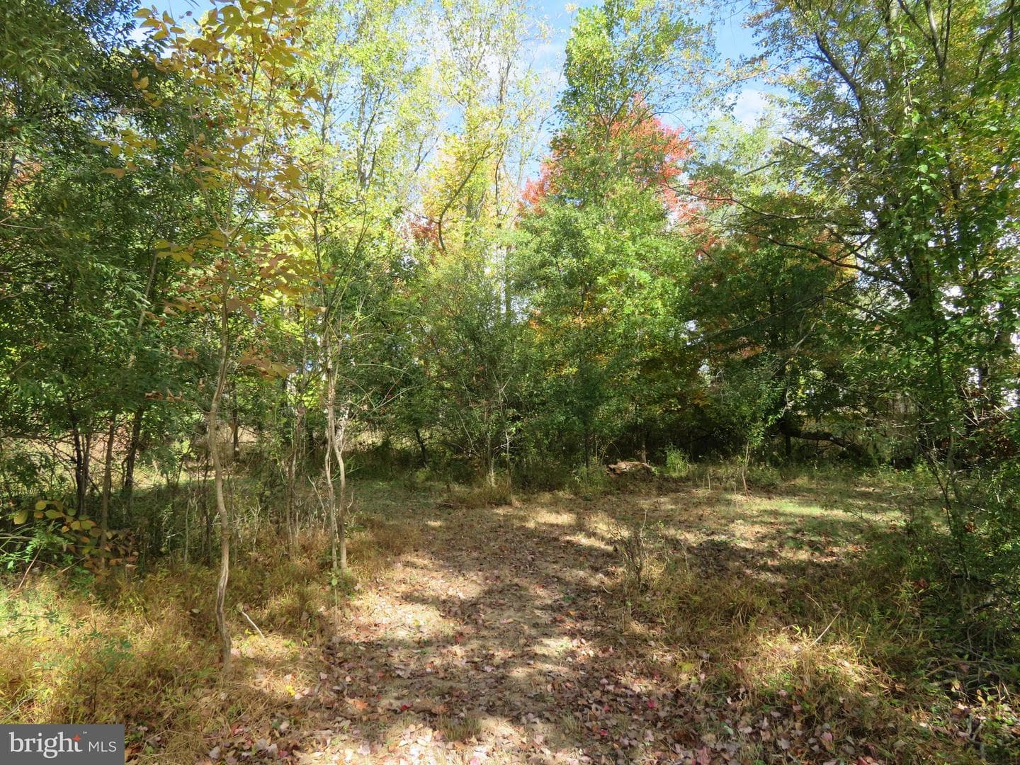 506 Kane Drive photo 40