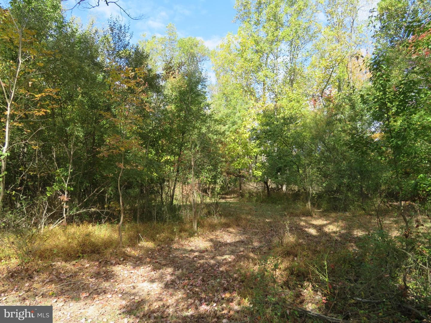 506 Kane Drive photo 41