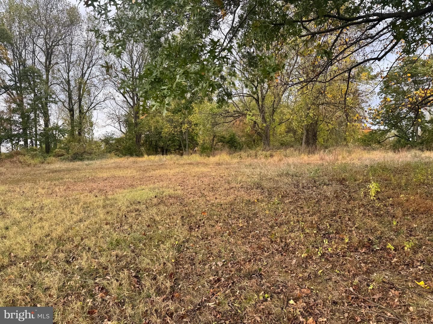 1241 & 1243 Valley Forge Road photo 24