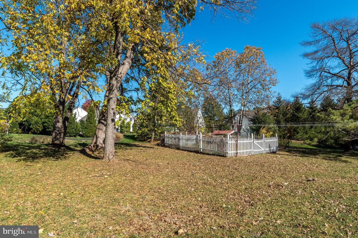1100 Cressman Rd photo 53