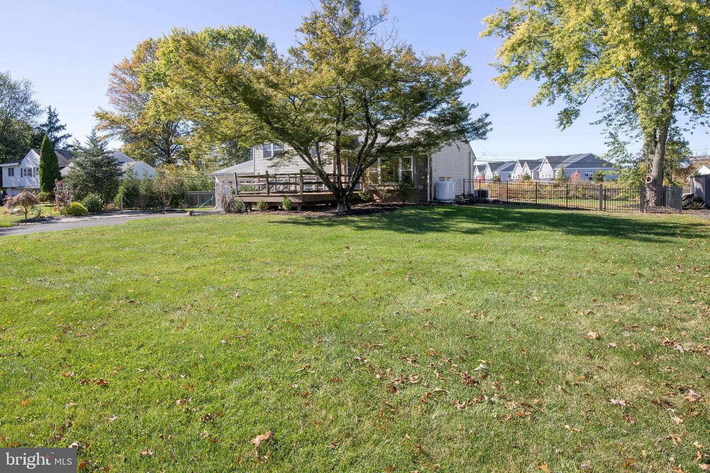 236 Park Road photo 2