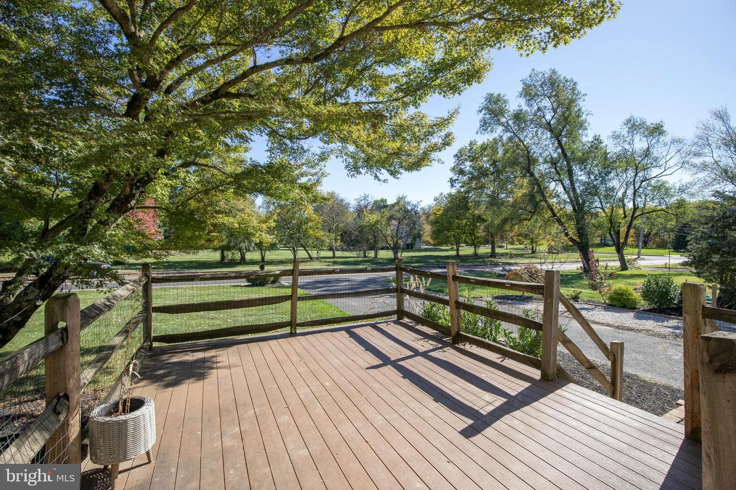 236 Park Road photo 3