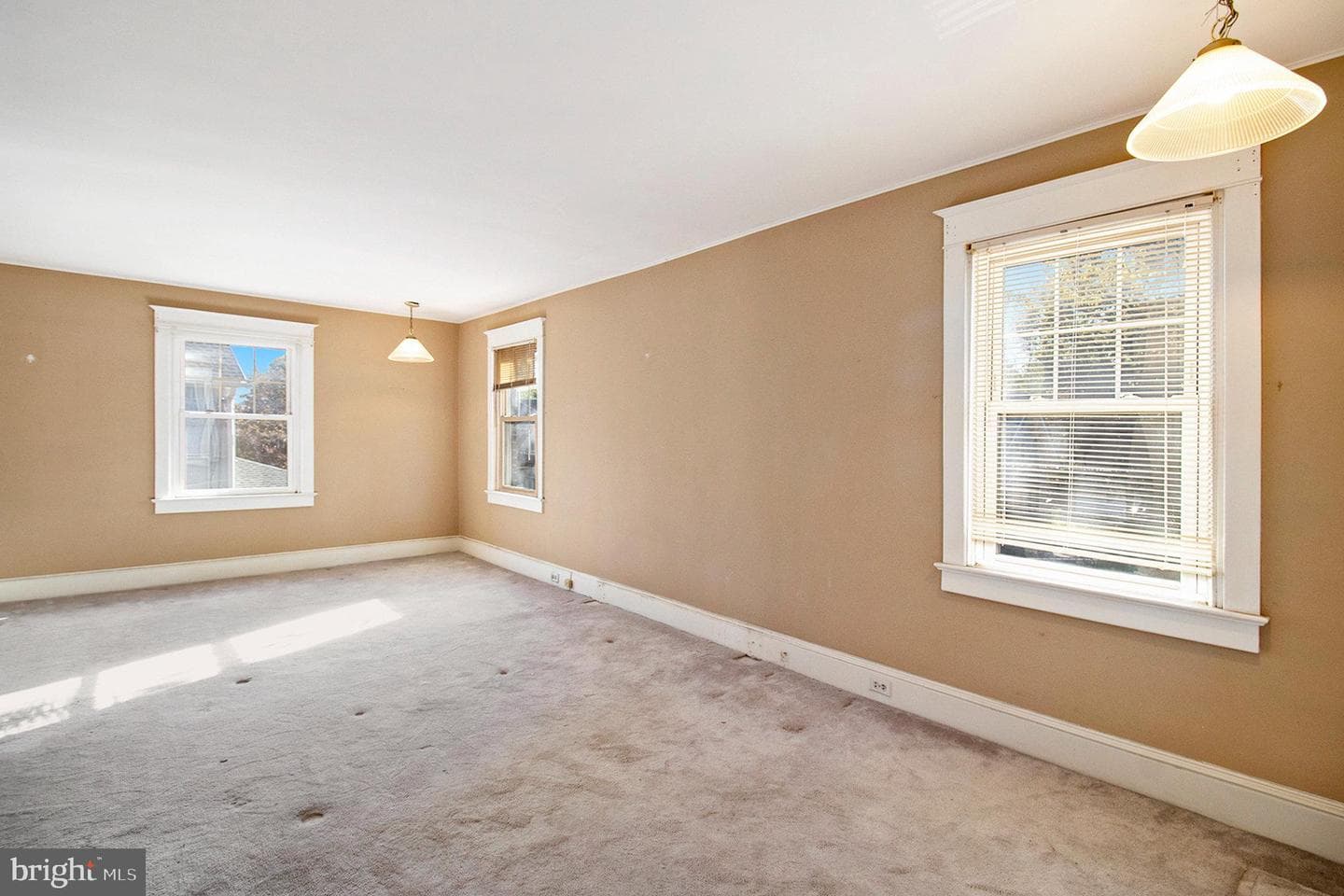 230 Harrison Avenue photo 13