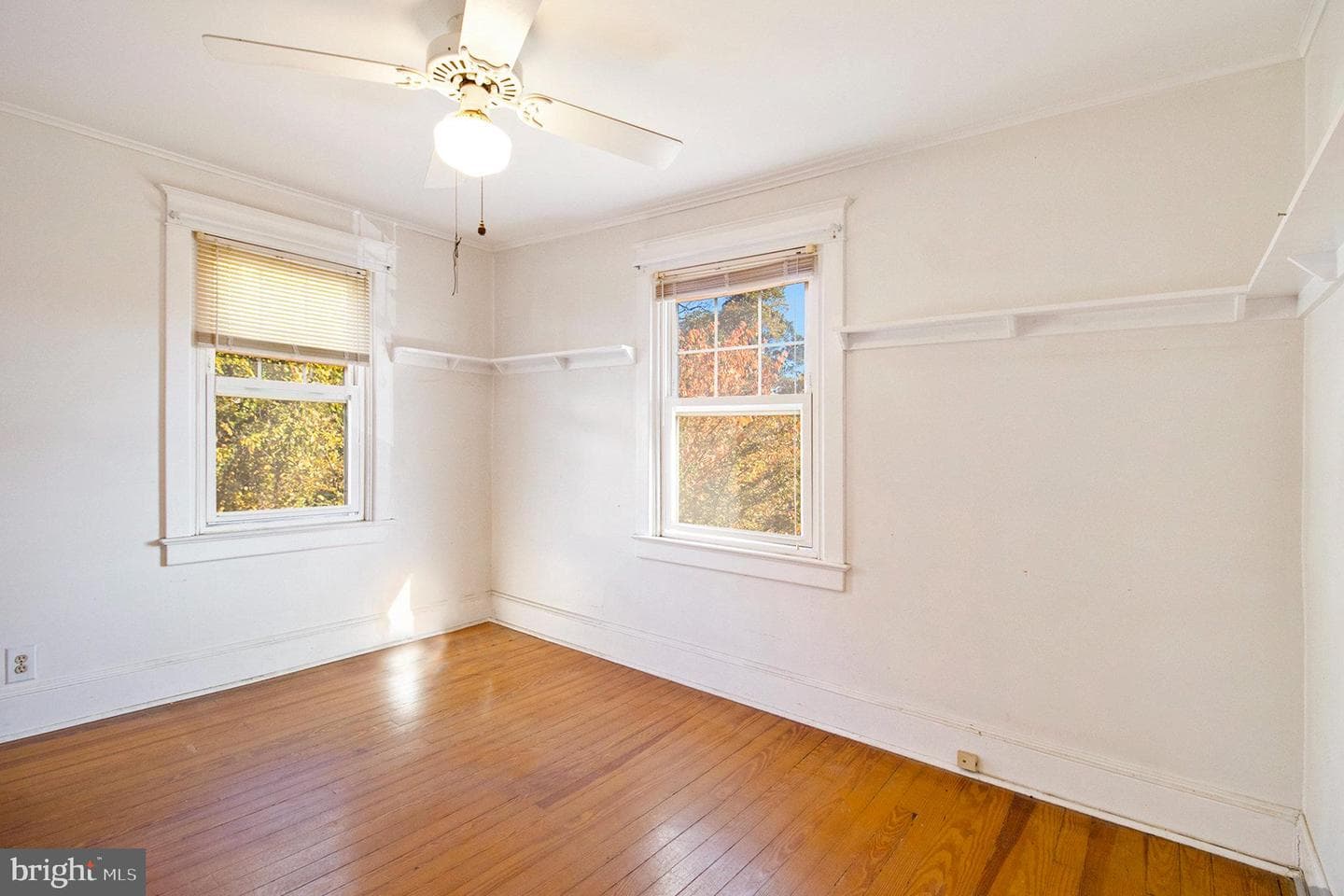 230 Harrison Avenue photo 18