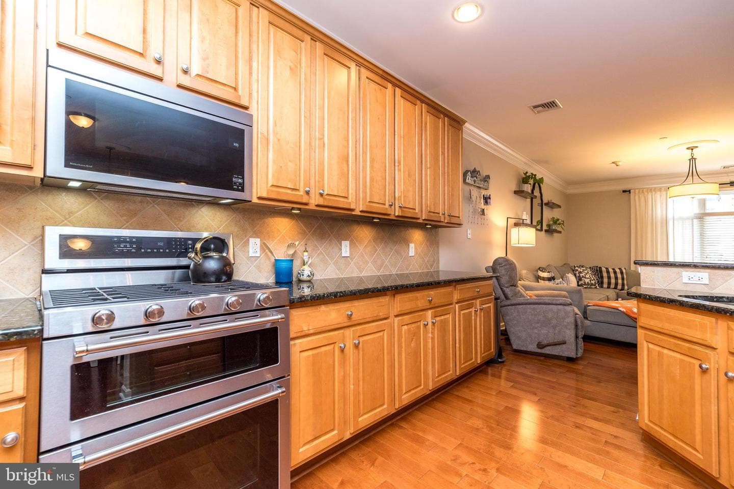207 Carson Terrace photo 16