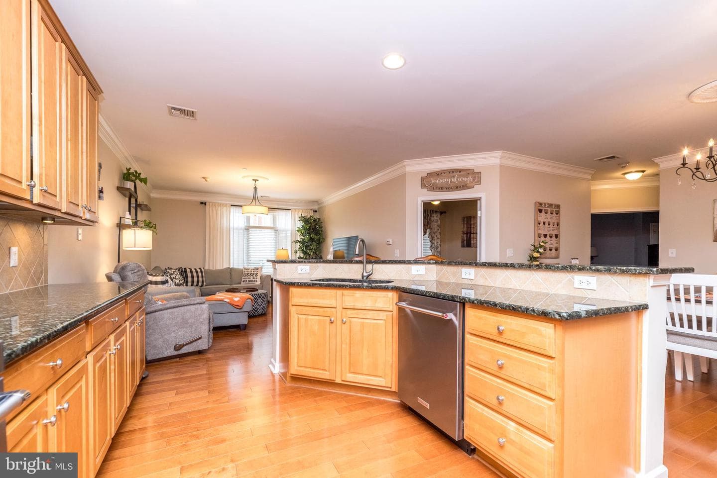 207 Carson Terrace photo 17