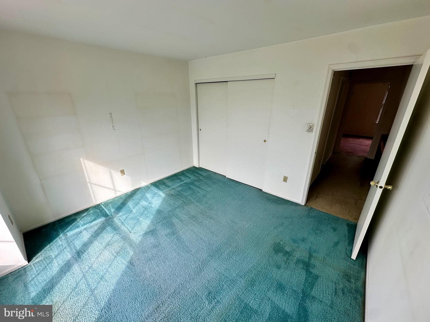 138 Cedar Court photo 18