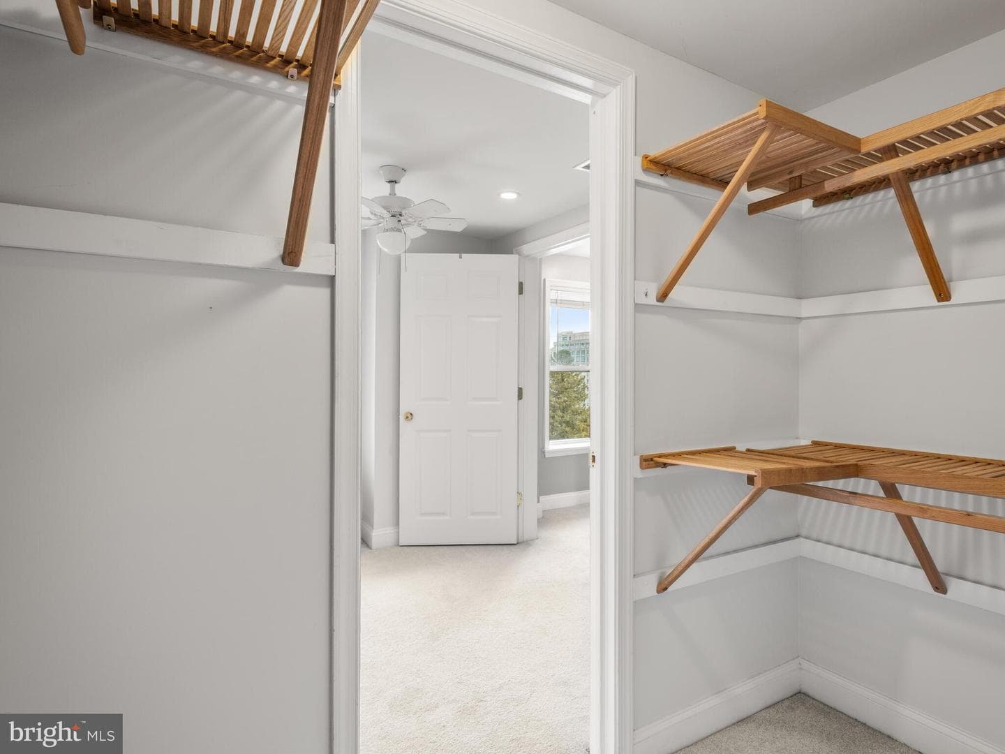116 Cedar Avenue photo 34