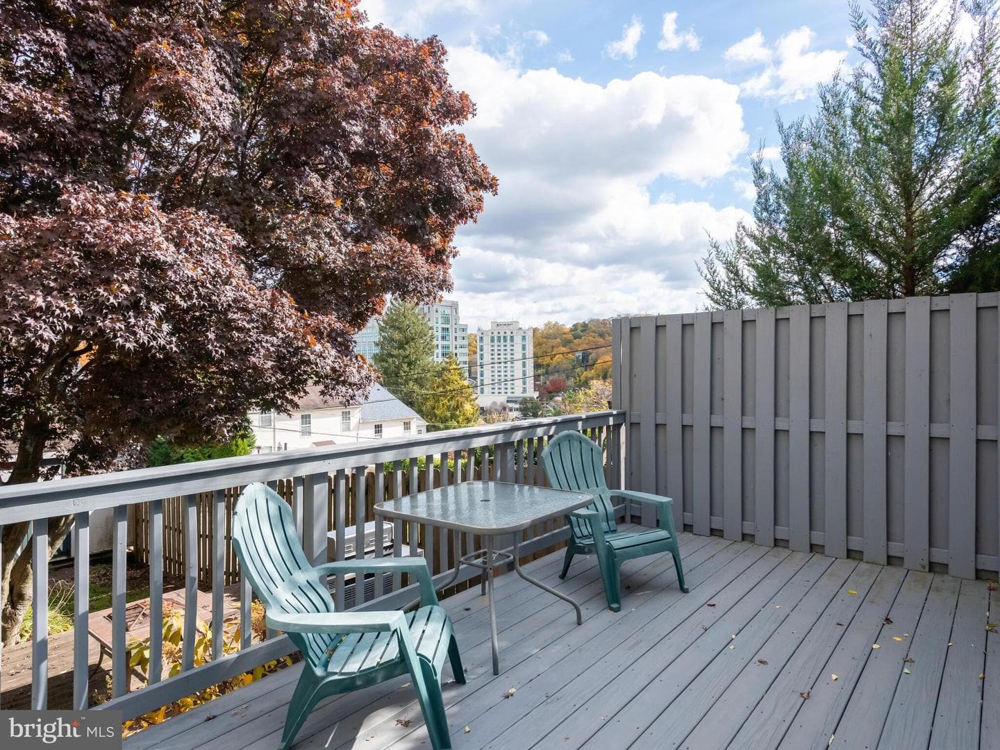 116 Cedar Avenue photo 40