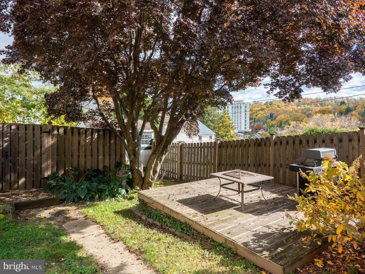 116 Cedar Avenue photo 44