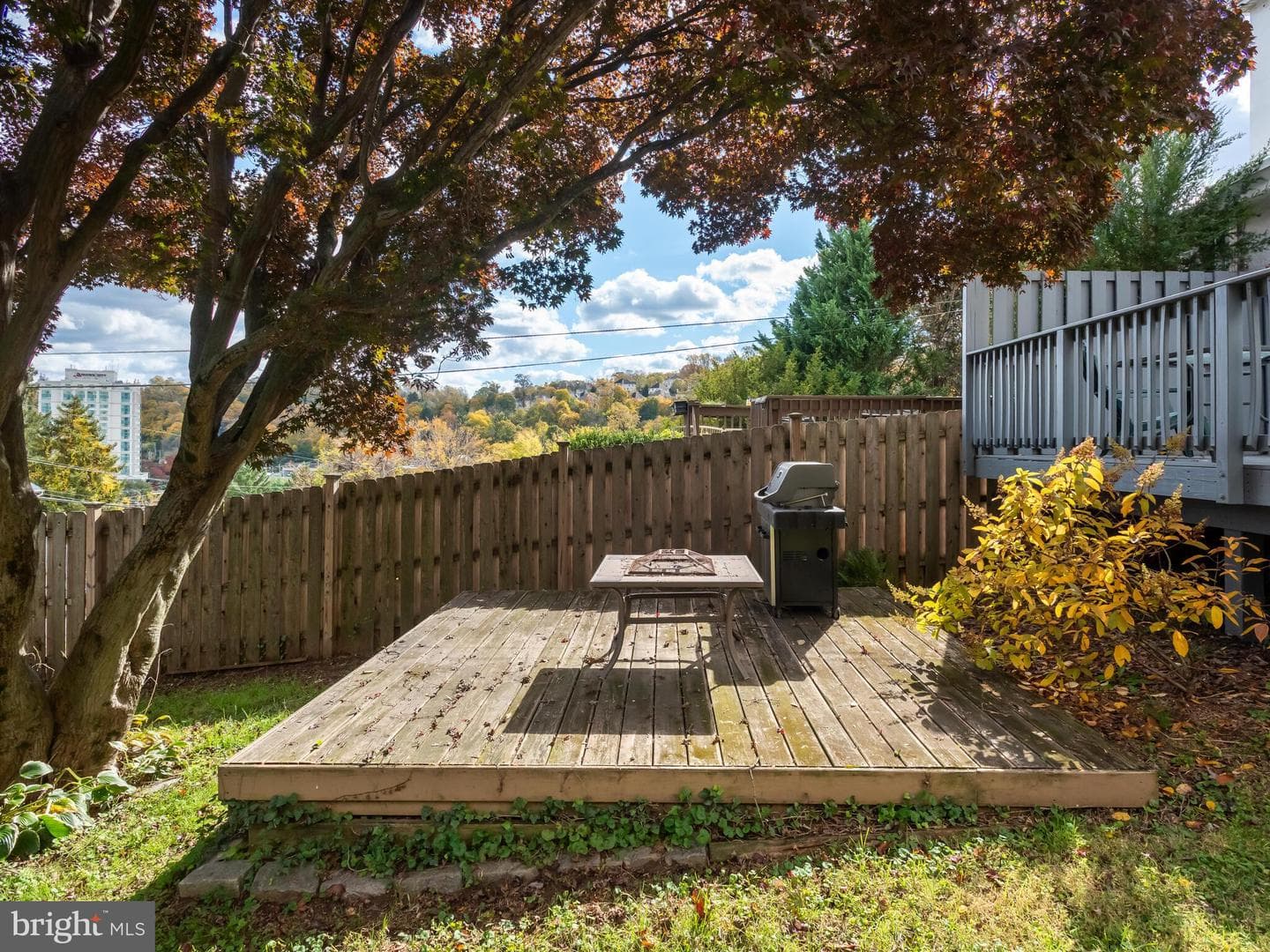116 Cedar Avenue photo 45