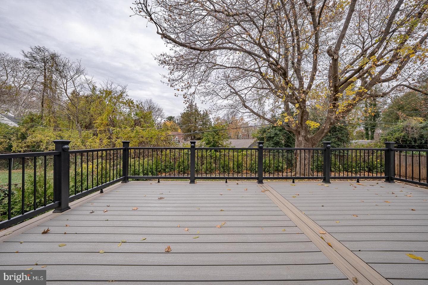 115 David Road photo 51
