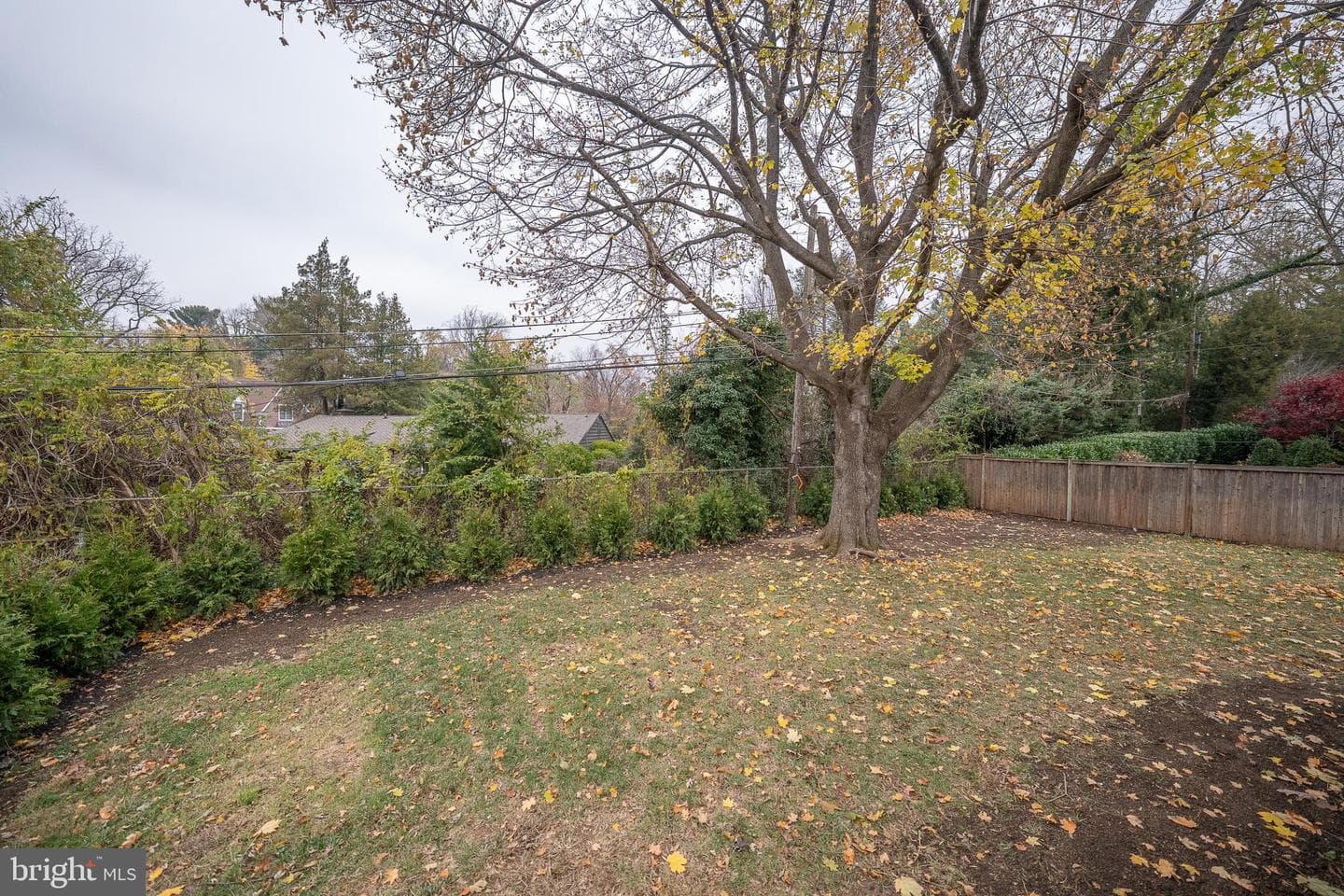 115 David Road photo 53