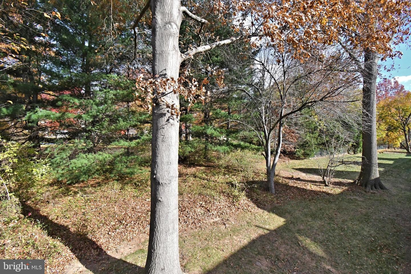 37 Stuart Dr photo 36