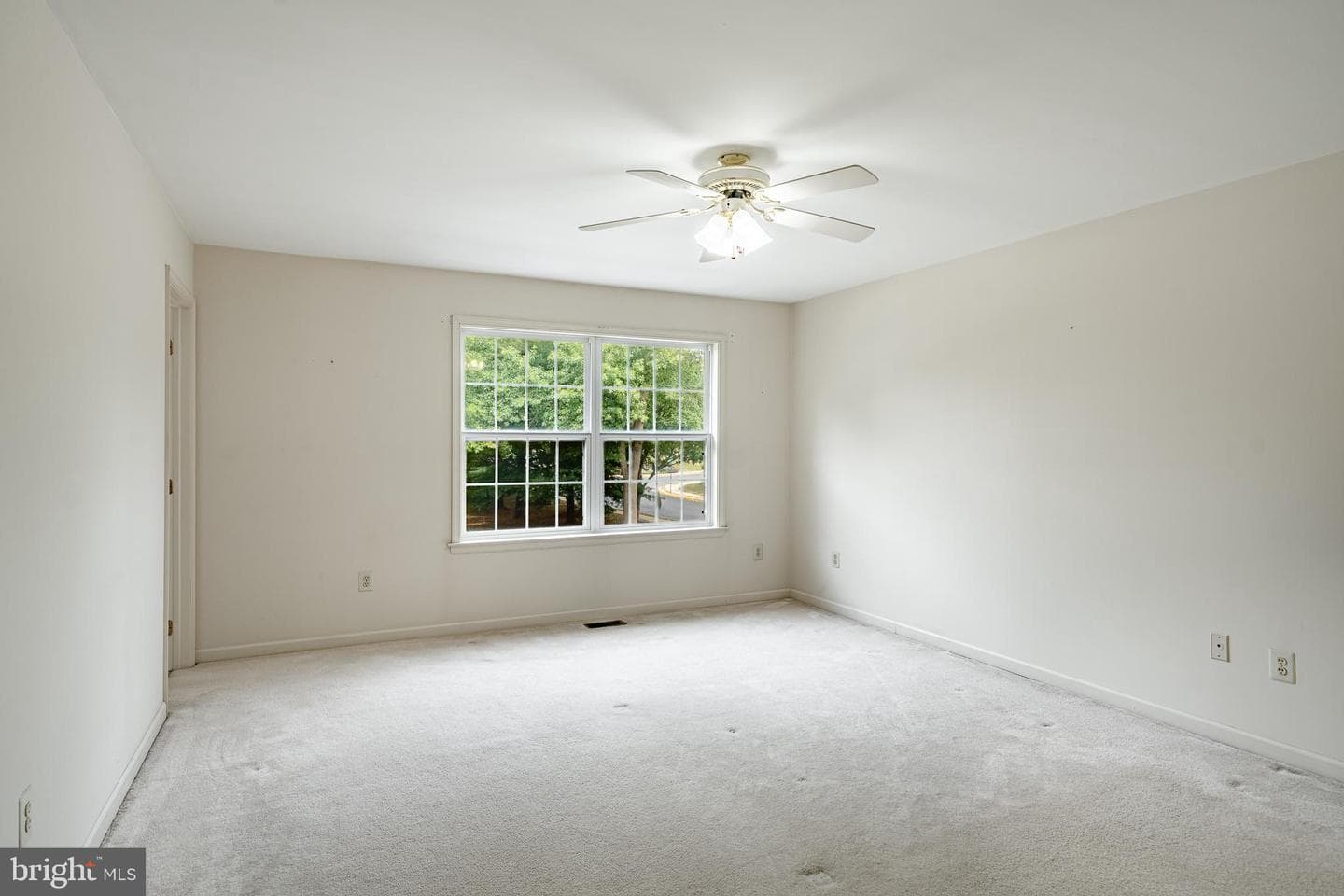 646 Elm Street photo 22