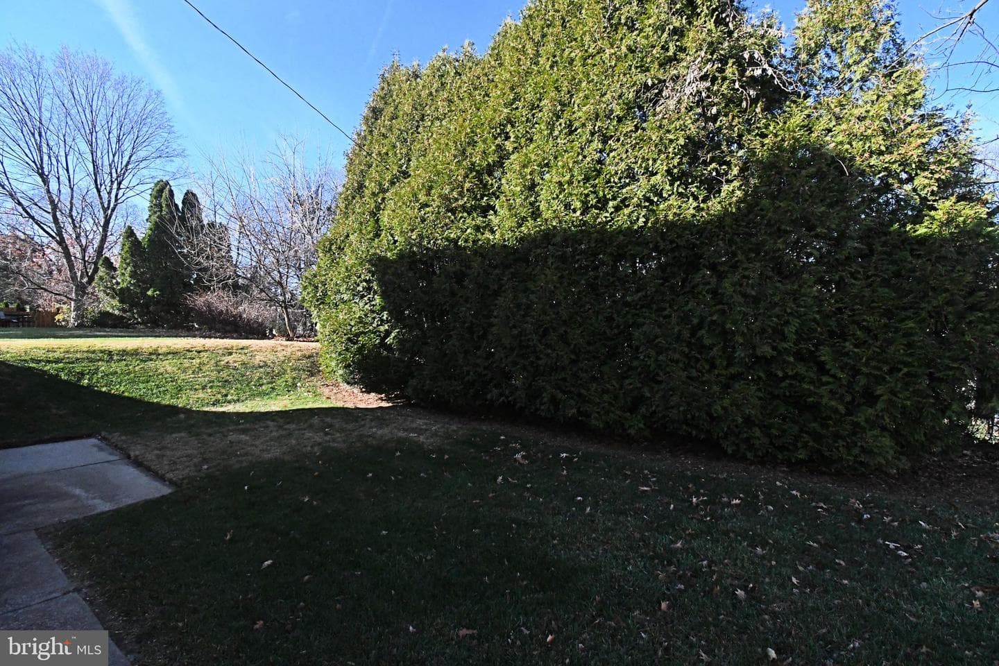 227 Barclay Circle photo 64