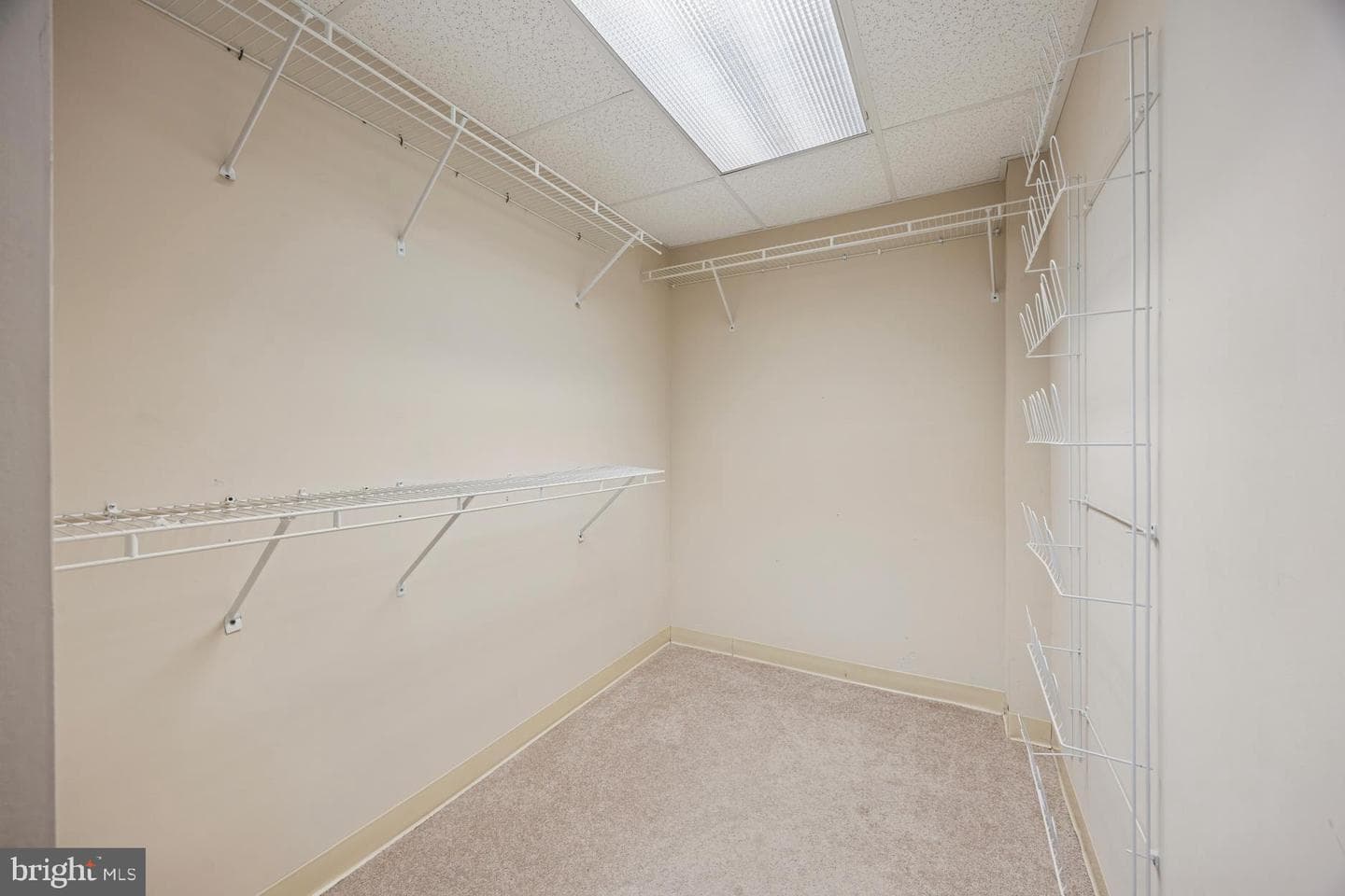 219 W Moreland Avenue photo 13