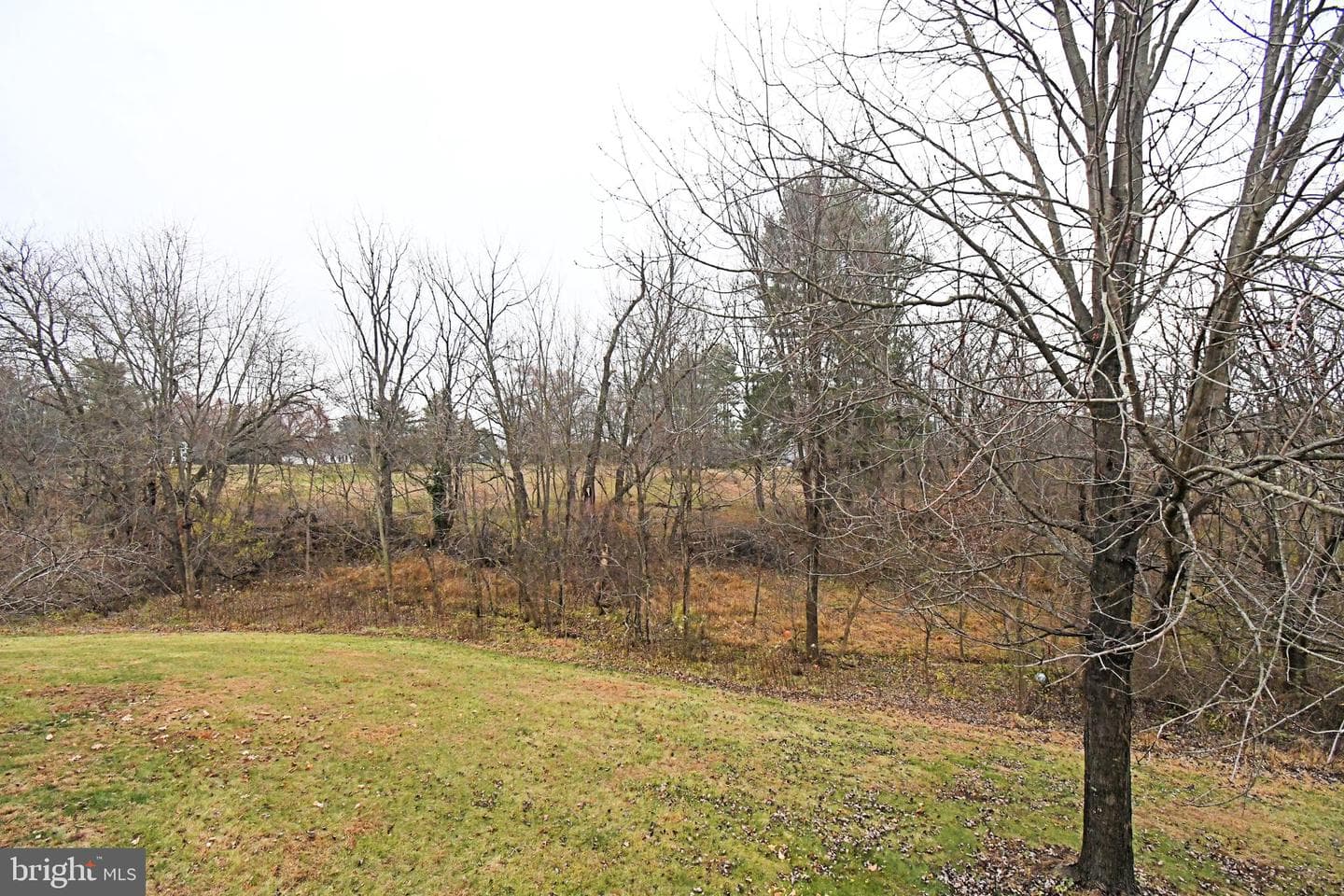 340 Vanderbilt Lane photo 46