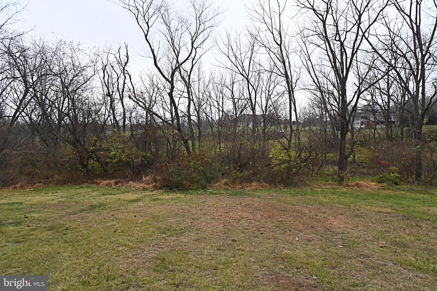 340 Vanderbilt Lane photo 49
