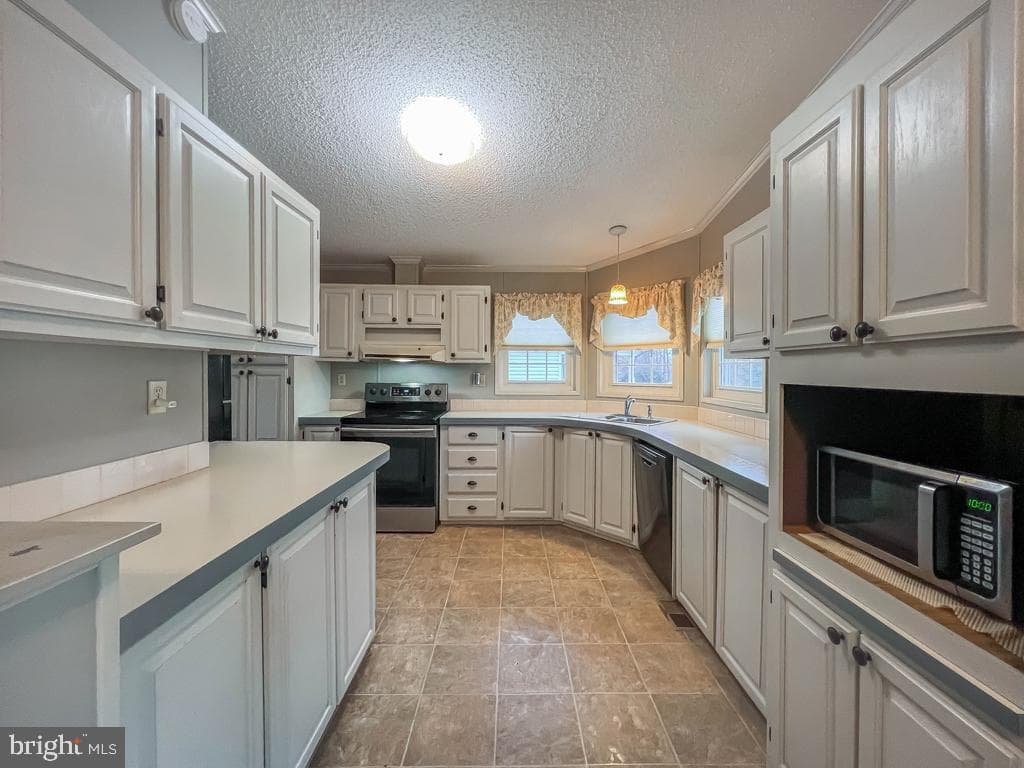 13 Clovedale Way photo 8