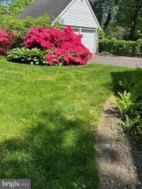 1039 Wellington Road photo 49
