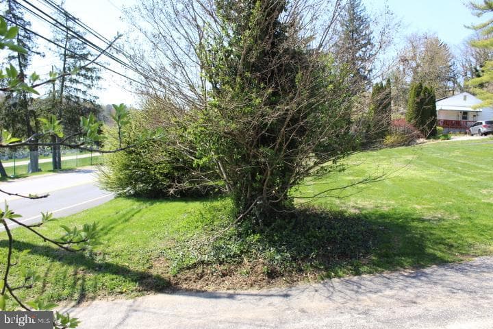 281 E Matsonford Road photo 21
