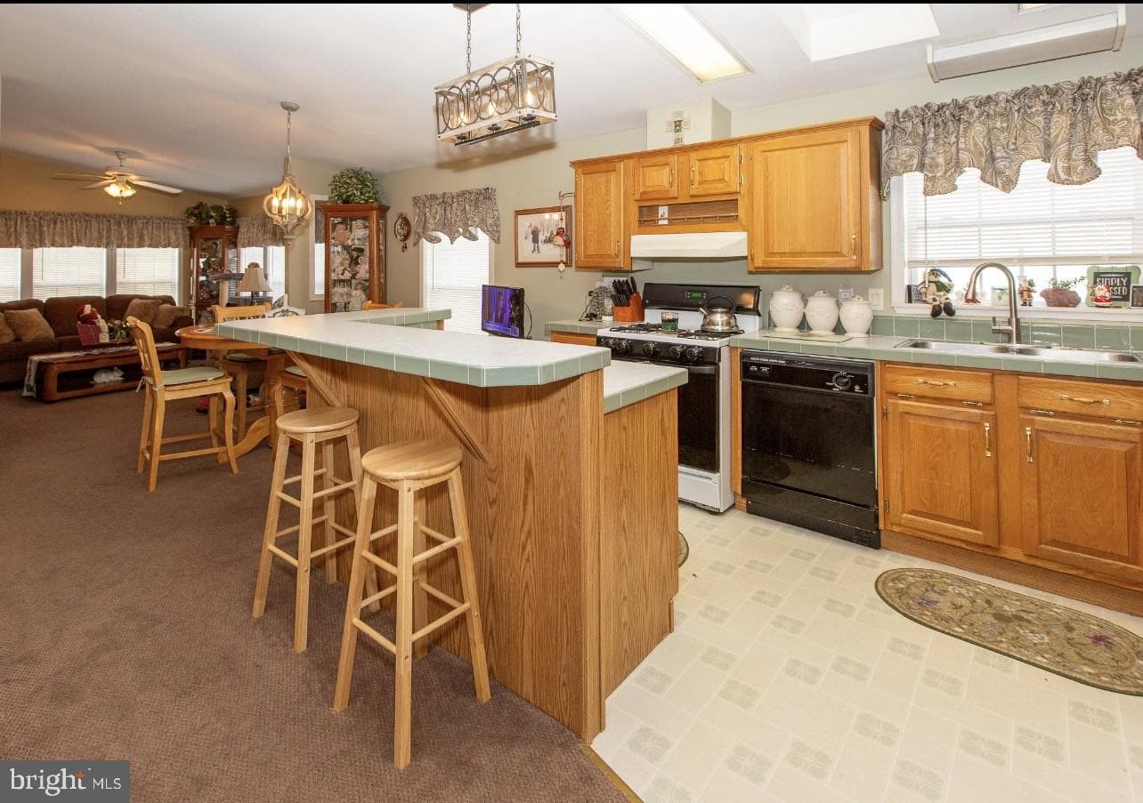303 Carver Lane photo 11