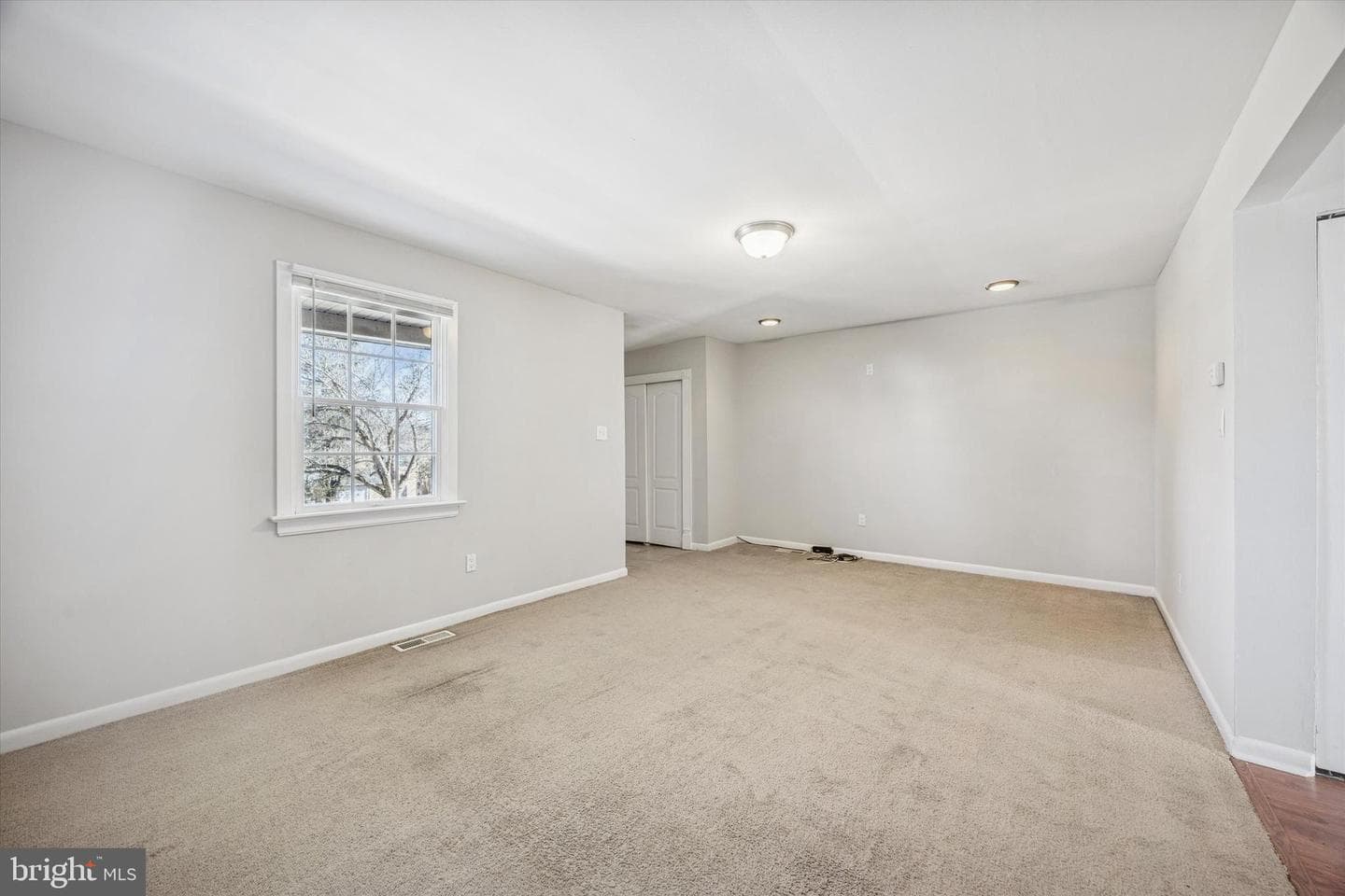 197 Lexington Road photo 6