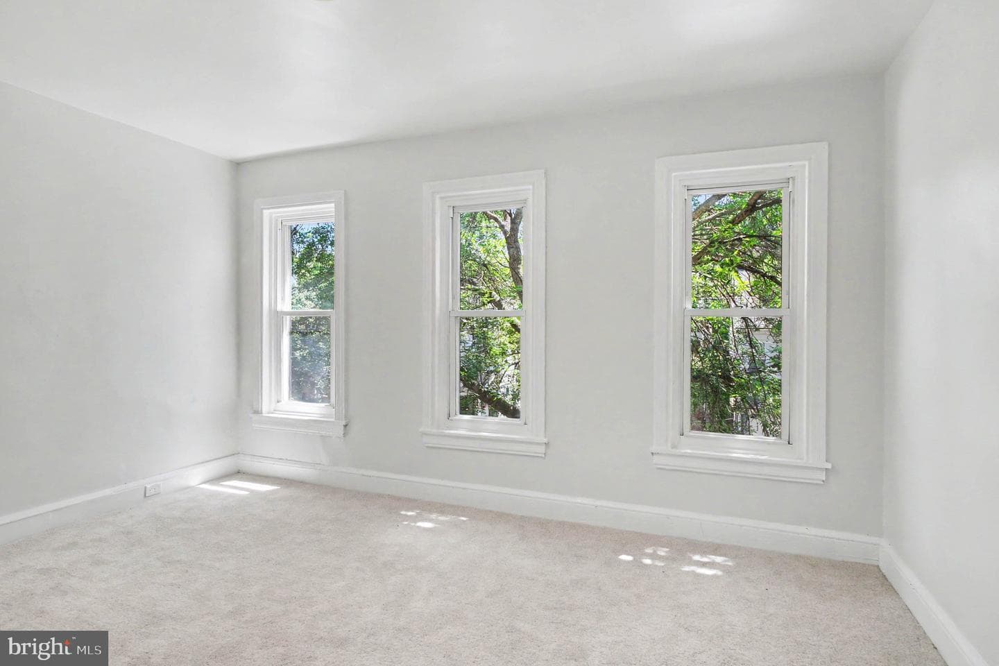443 Walnut Street photo 14