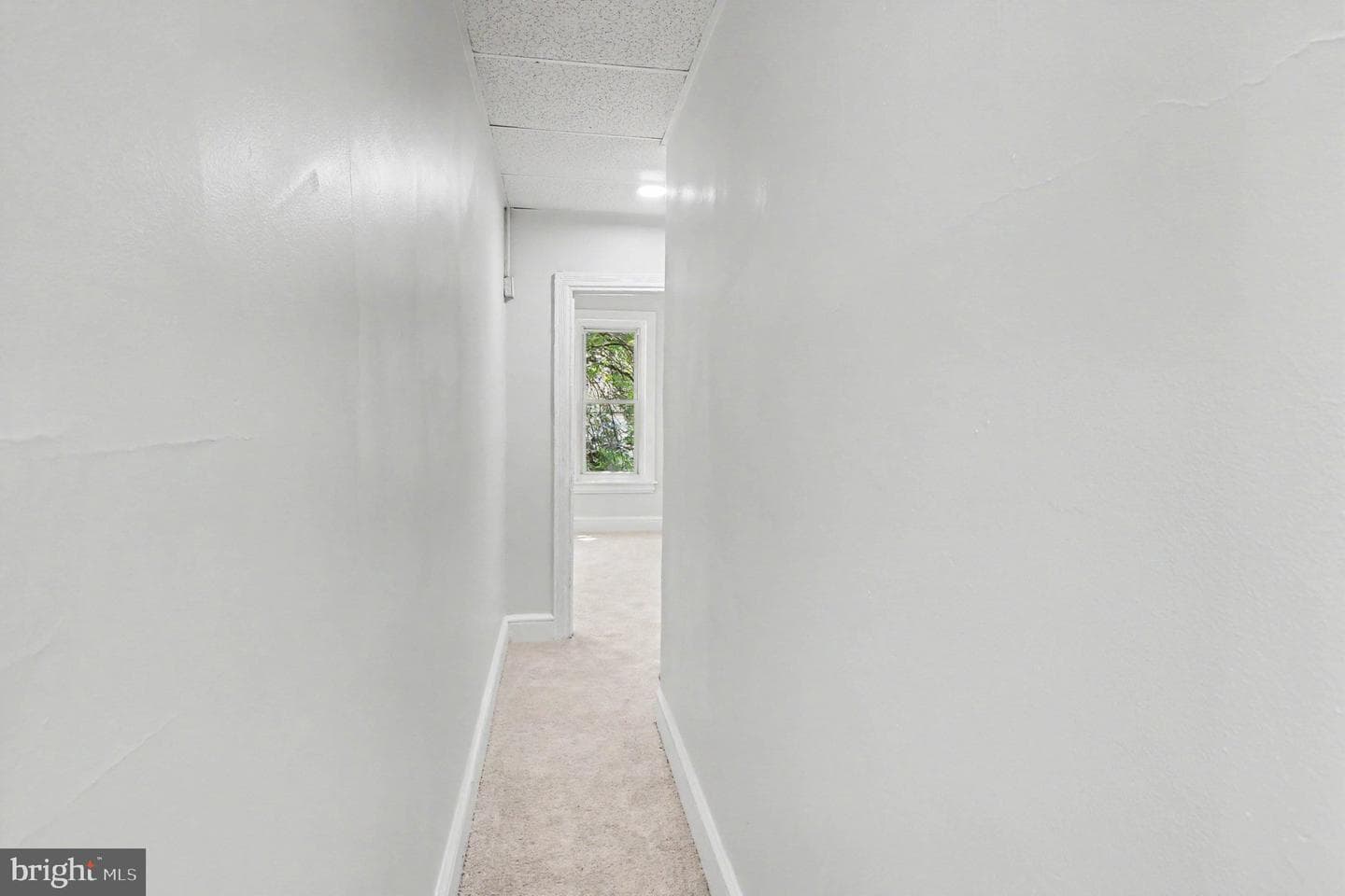 443 Walnut Street photo 19
