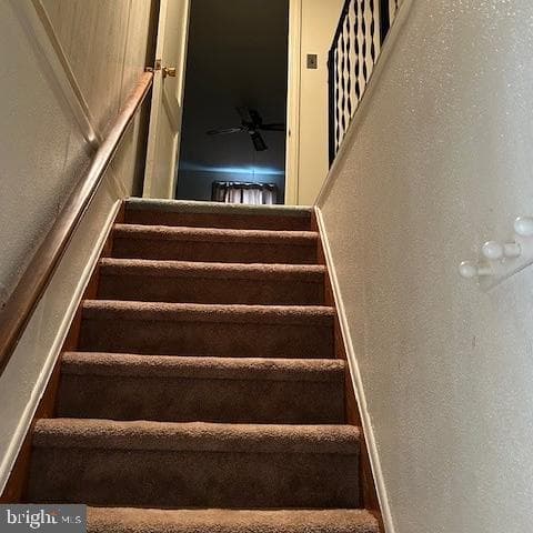 112 Burnside Avenue photo 13