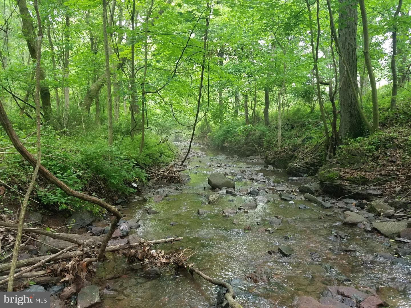 1185 Kepler Road photo 21