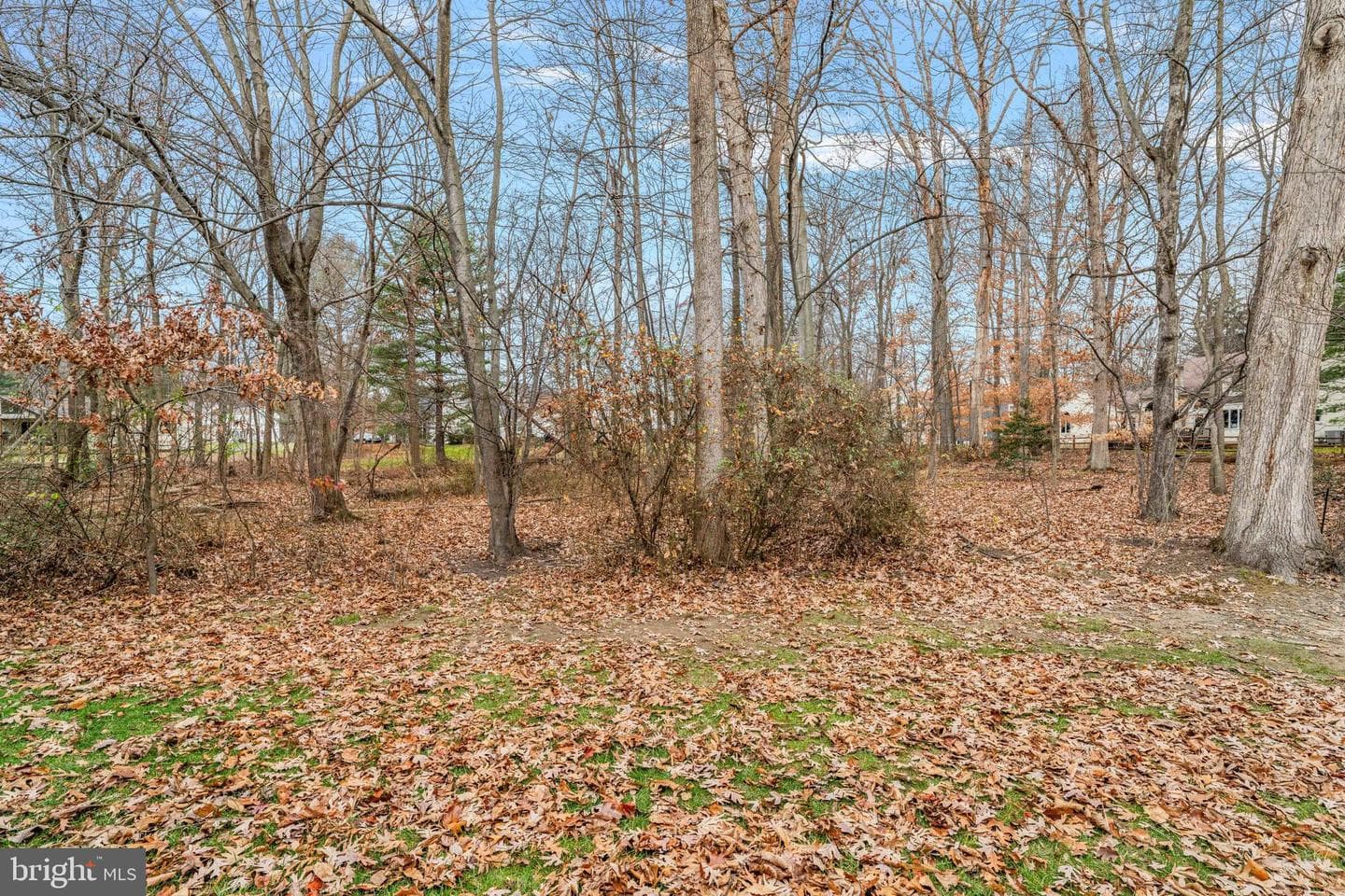 46 Woodbine Court photo 3
