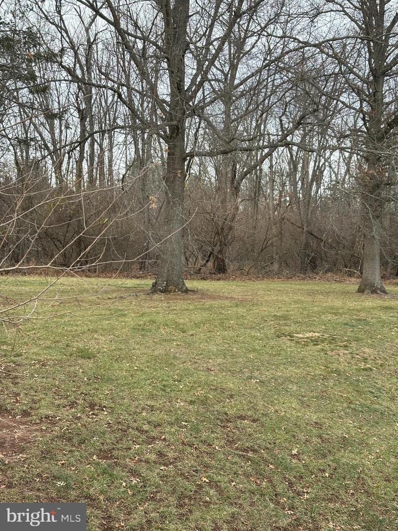 1116 Dogwood Court photo 10