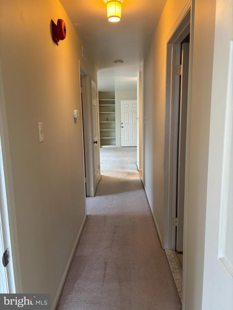 1116 Dogwood Court photo 27