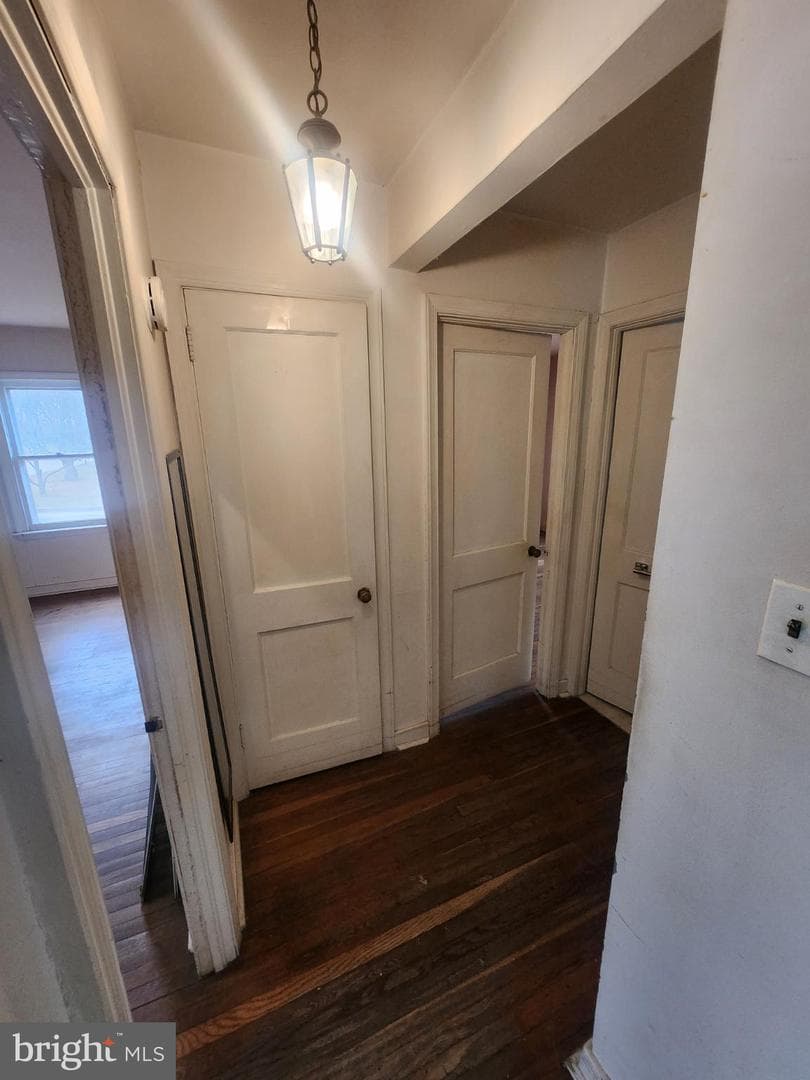 336 Elm Avenue photo 20