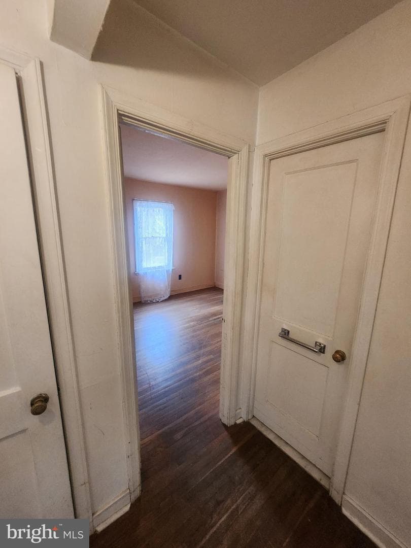 336 Elm Avenue photo 23