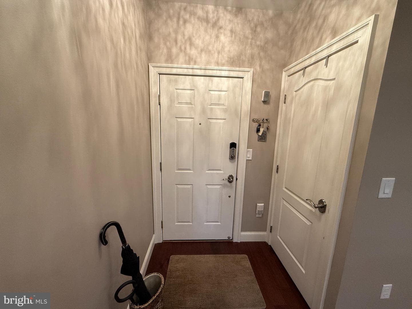 503 Carson Terrace photo 5