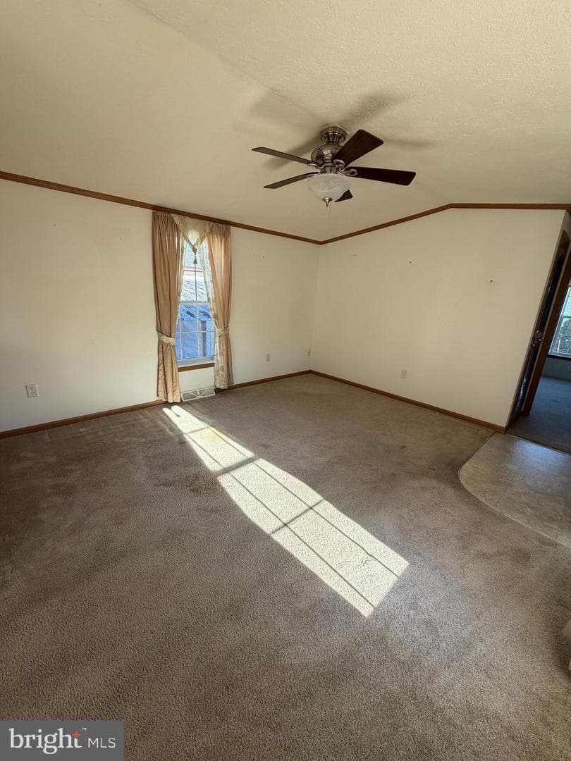 411 Oak Drive photo 5