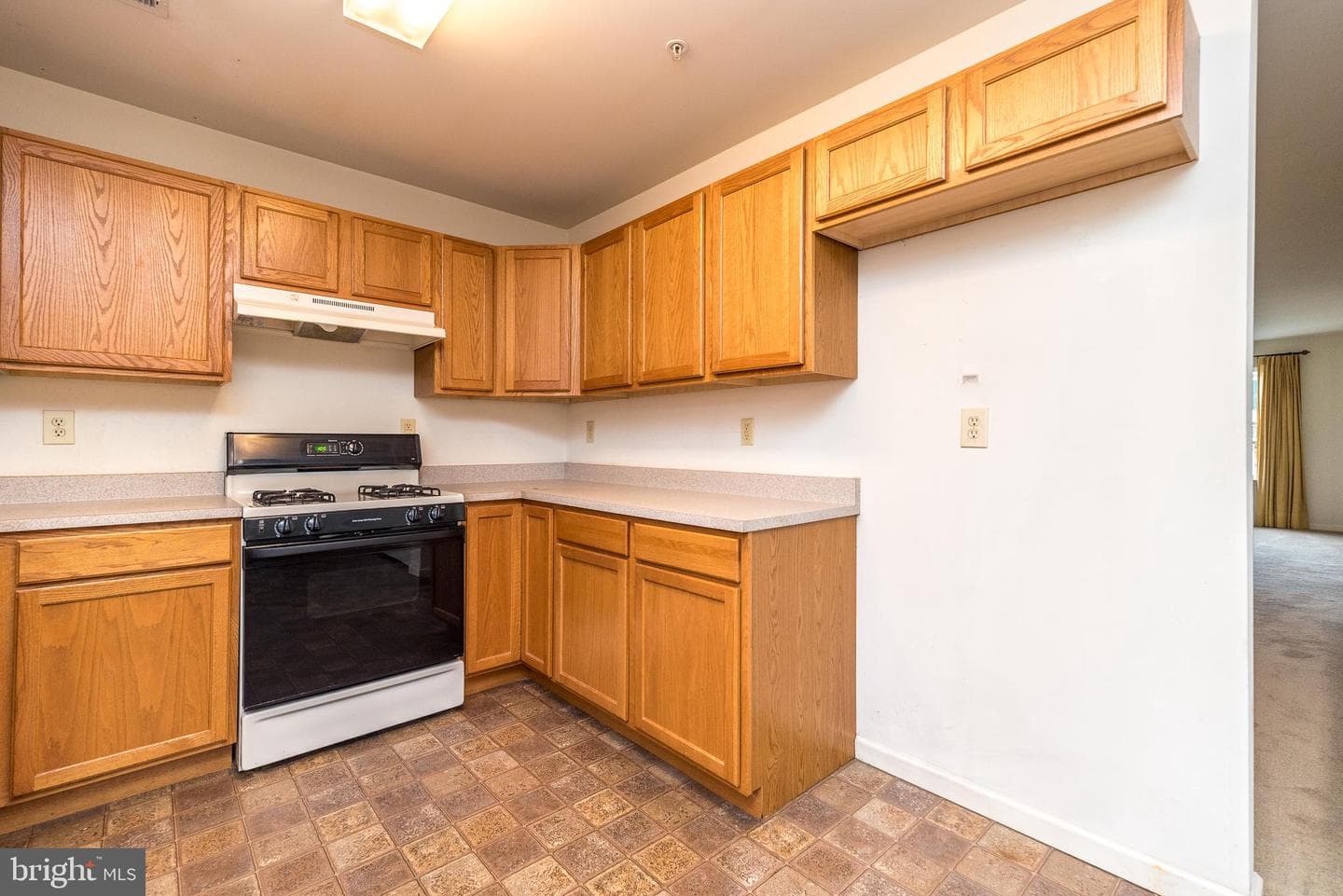 492 Glenn Rose Circle photo 13