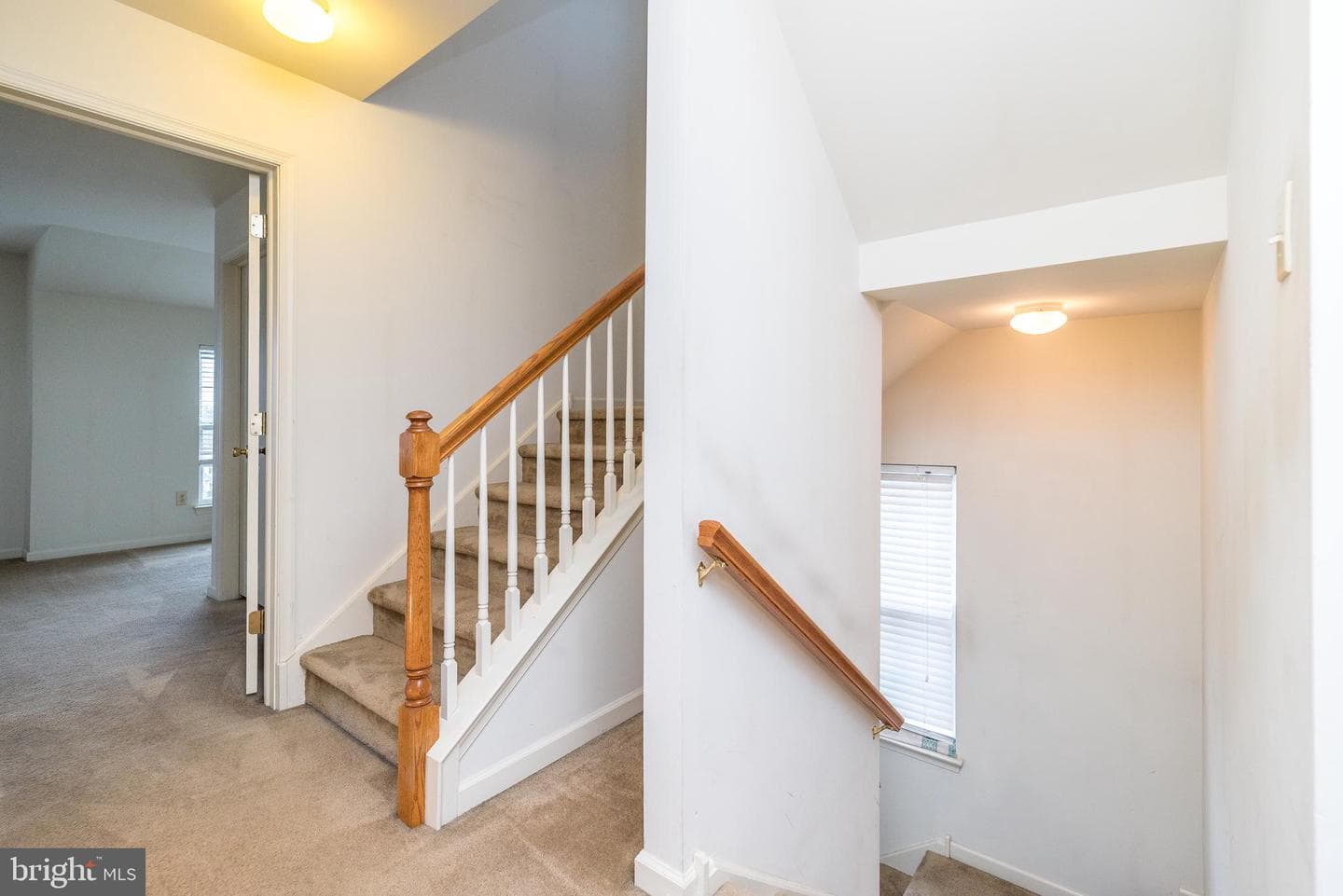 492 Glenn Rose Circle photo 20