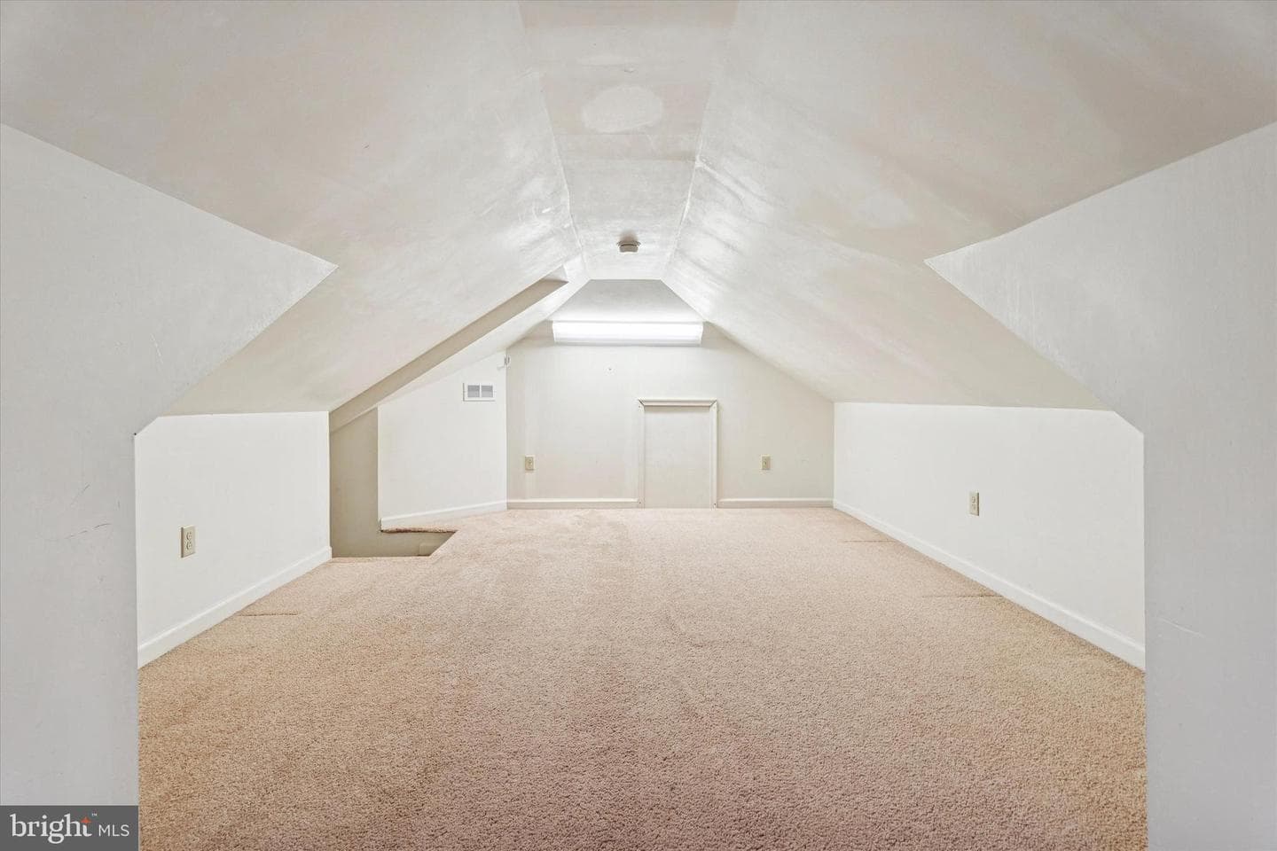 305 Susquehanna Avenue photo 19